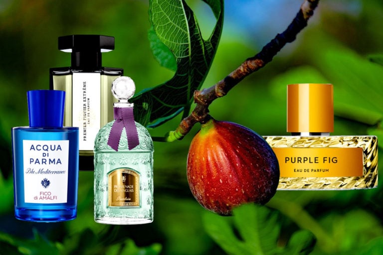 10 Best Fig Based Fragrances For Her