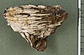 Siderite xx on Baryte xx - Bad Lauterberg, Harz Mountains, Germany