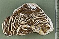 Siderite xx on Baryte xx - Bad Lauterberg, Harz Mountains, Germany