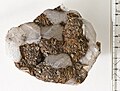 Quartz xx, Siderite xx, Clausthal, Harz, Germany