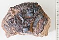 Raoter Glaskopf (iron ore) on Baryte, Bad Lauterberg, Harz, Germany