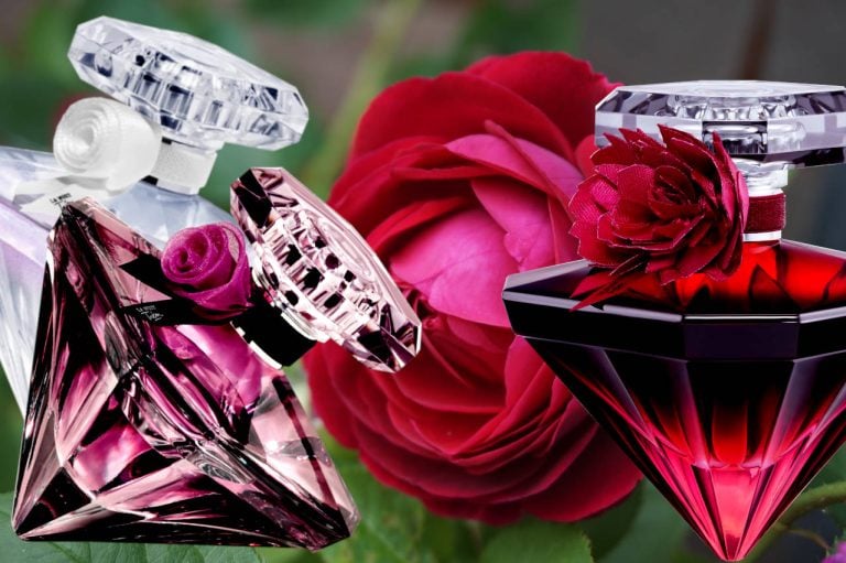 Best La Nuit Tresor Perfumes