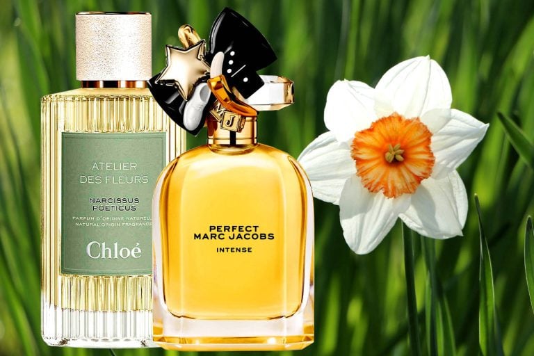 Best Narcissus Scented Perfumes