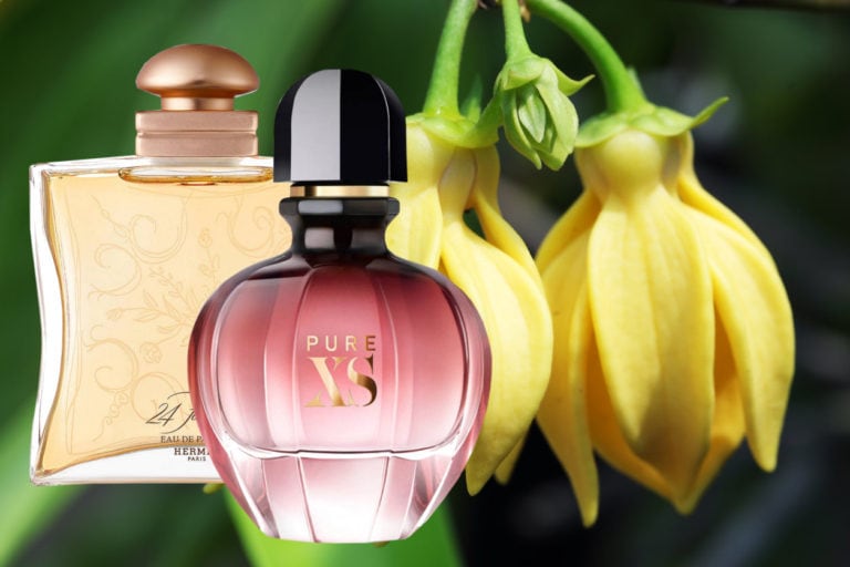 best Perfumes With Ylang Ylang