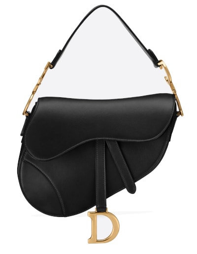 DIOR Saddle Bag