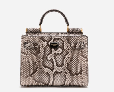 DOLCE & GABBAN Sicily 62 in Python Skin